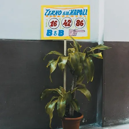 Bed & Breakfast Terno Su 2*